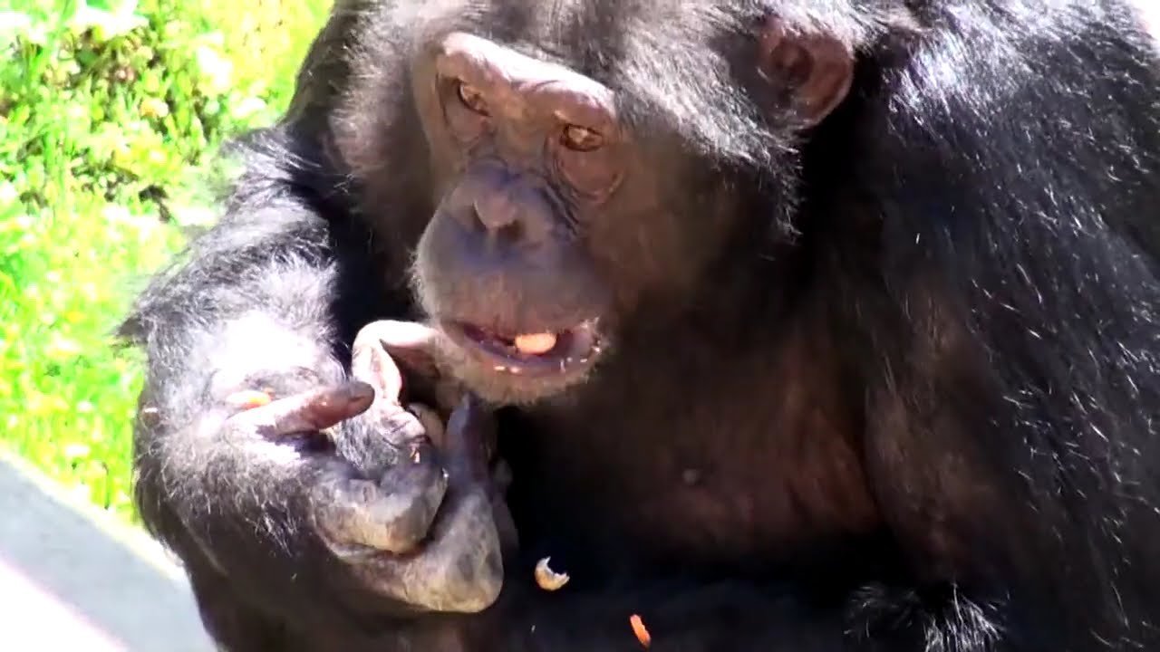 Görüntüyü Önceden Yükle