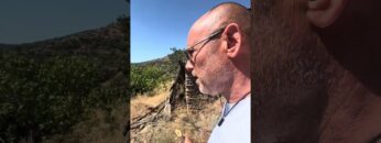 Özel: [ID: m_ye4jCkDMI] Youtube Automatic